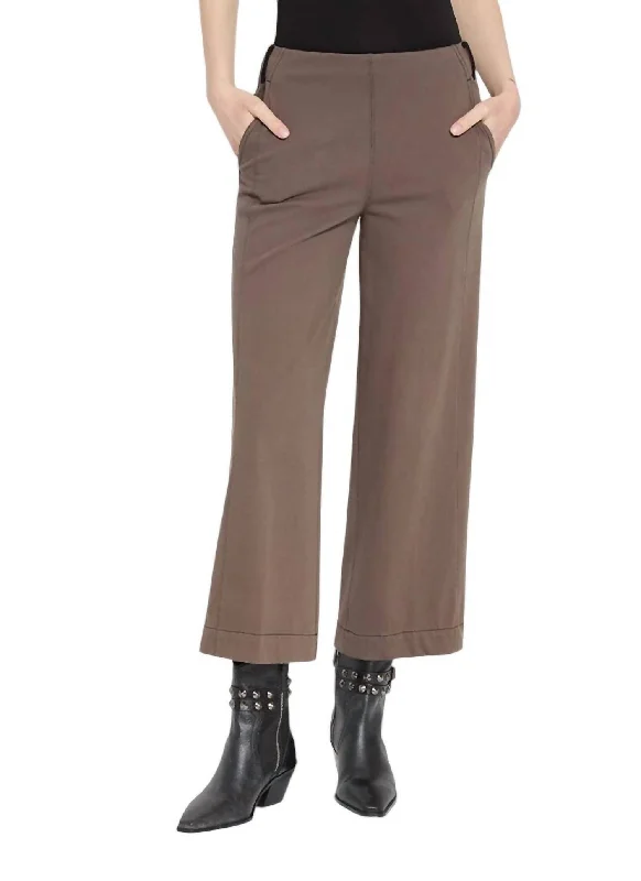 Franca Wide Leg Pants In Driftwood